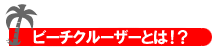 �T�C�N�����O�A�h�o�C�X