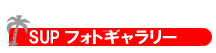 �X�^���h�A�b�v�p�h���ʐ^�ꗗ��